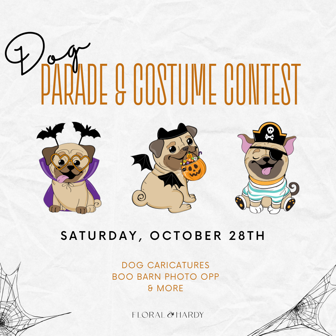 Dog Halloween Parade & Costume Contest Floral & Hardy of Skippack